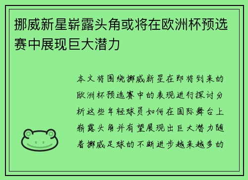 挪威新星崭露头角或将在欧洲杯预选赛中展现巨大潜力